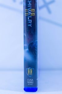 Chivalry II (PS4) б/у
