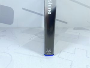 Arizona Sunshine (Требуется VR) (PS4) б/у