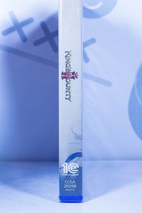 King's Bounty II Издание первого дня (PS4)