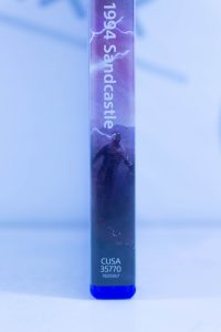 Daymare: 1994 Sandcastle (PS4) б/у