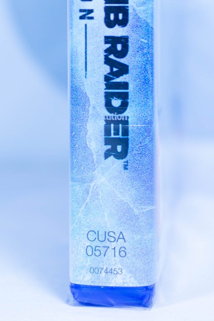 Rise of the Tomb Raider 20-летний юбилей [рус. озвучка] (PS4)