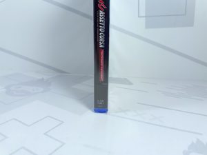 Assetto Corsa Ultimate Edition [рус.субтитры] (PS4)