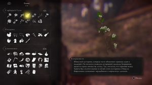 A Plague Tale Innocence HD [рус.субтитры] (PS5)